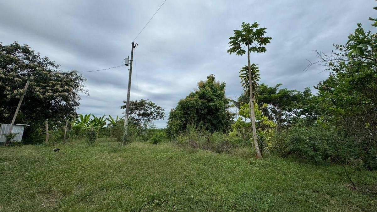 Vendo Macrolote en La Zona del Km 22 Via a La Costa Guayaquil, Guayas — imagen 8