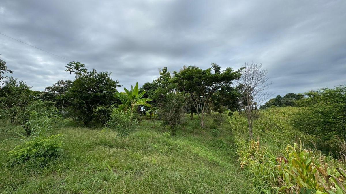 Vendo Macrolote en La Zona del Km 22 Via a La Costa Guayaquil, Guayas — imagen 7