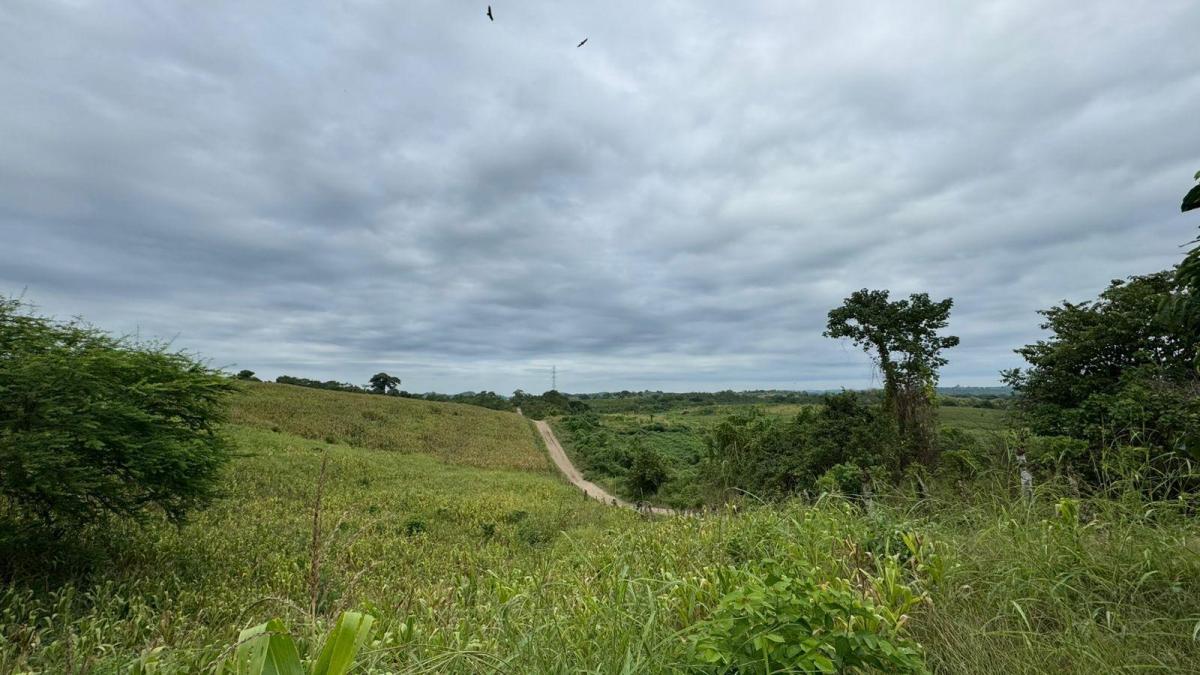 Vendo Macrolote en La Zona del Km 22 Via a La Costa Guayaquil, Guayas — imagen 6