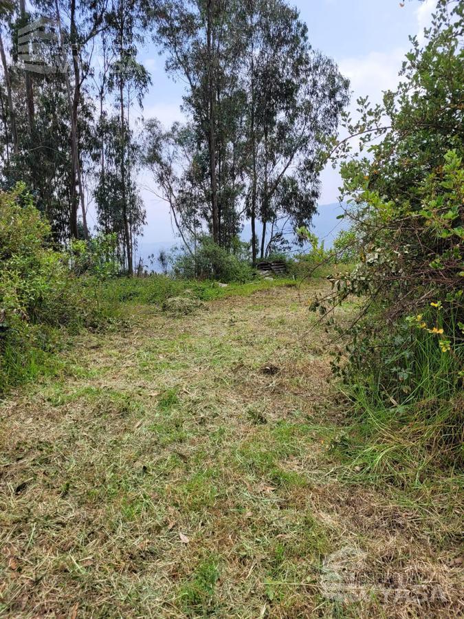 Cumbayá - Yanazarapata, Terreno en Venta de 2.800 m², Ideal Para Proyecto — imagen 7