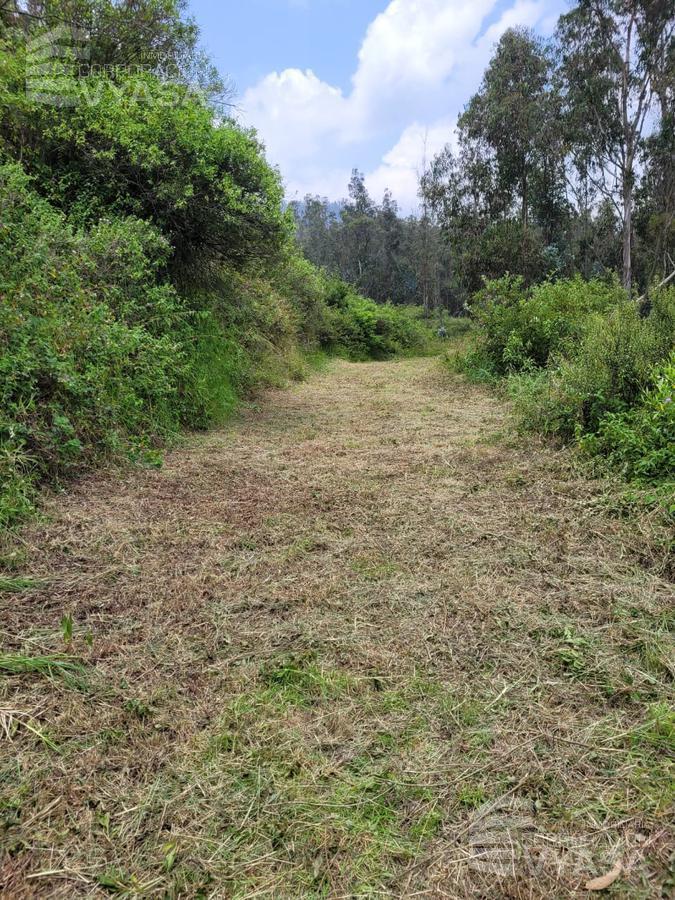 Cumbayá - Yanazarapata, Terreno en Venta de 2.800 m², Ideal Para Proyecto — imagen 6