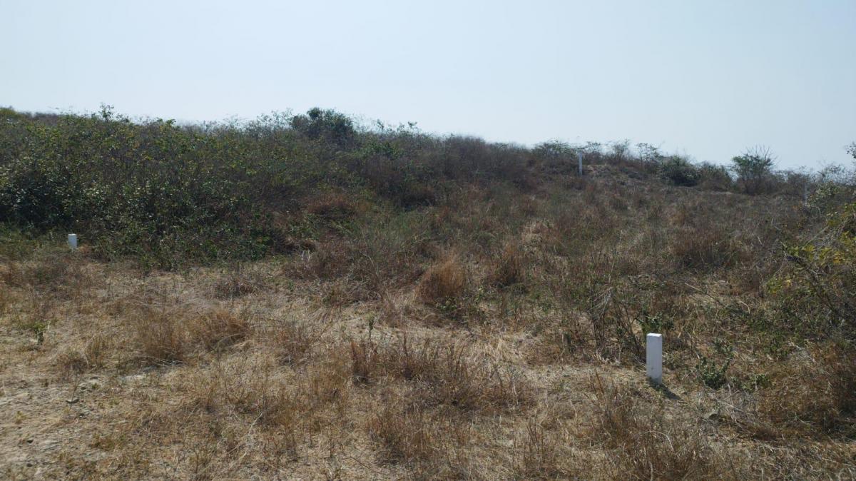 Venta de Terreno. Taos. Punta Blanca Vivc — imagen 9