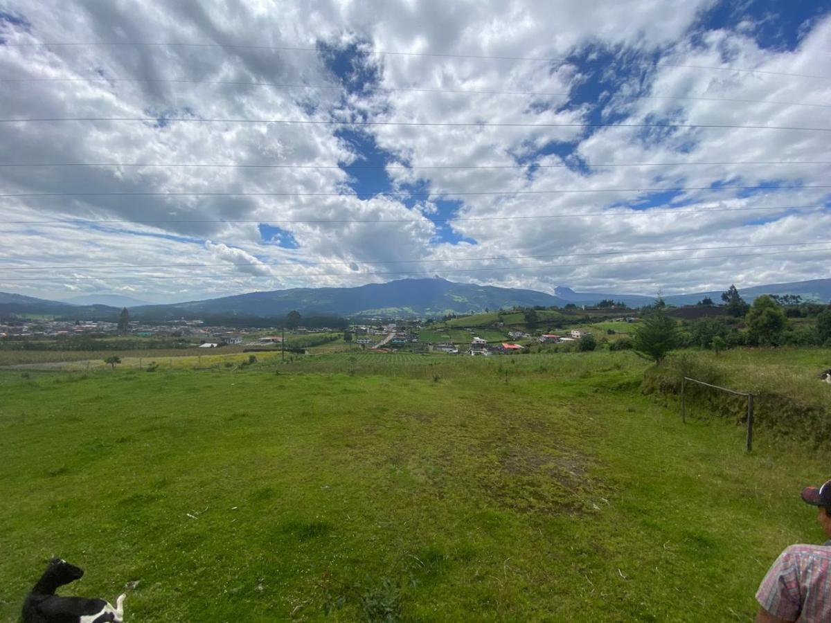 Terreno en Alog — imagen 5