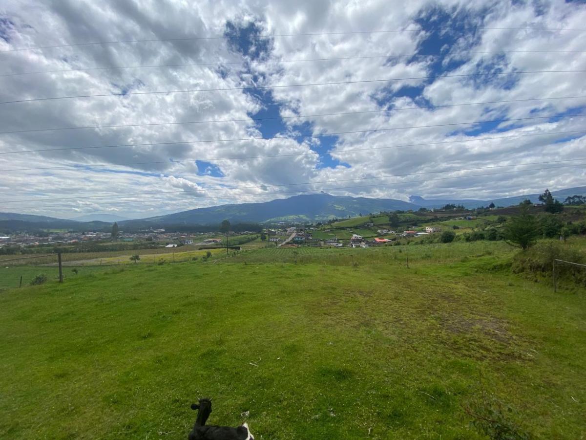 Terreno en Alog — imagen 3