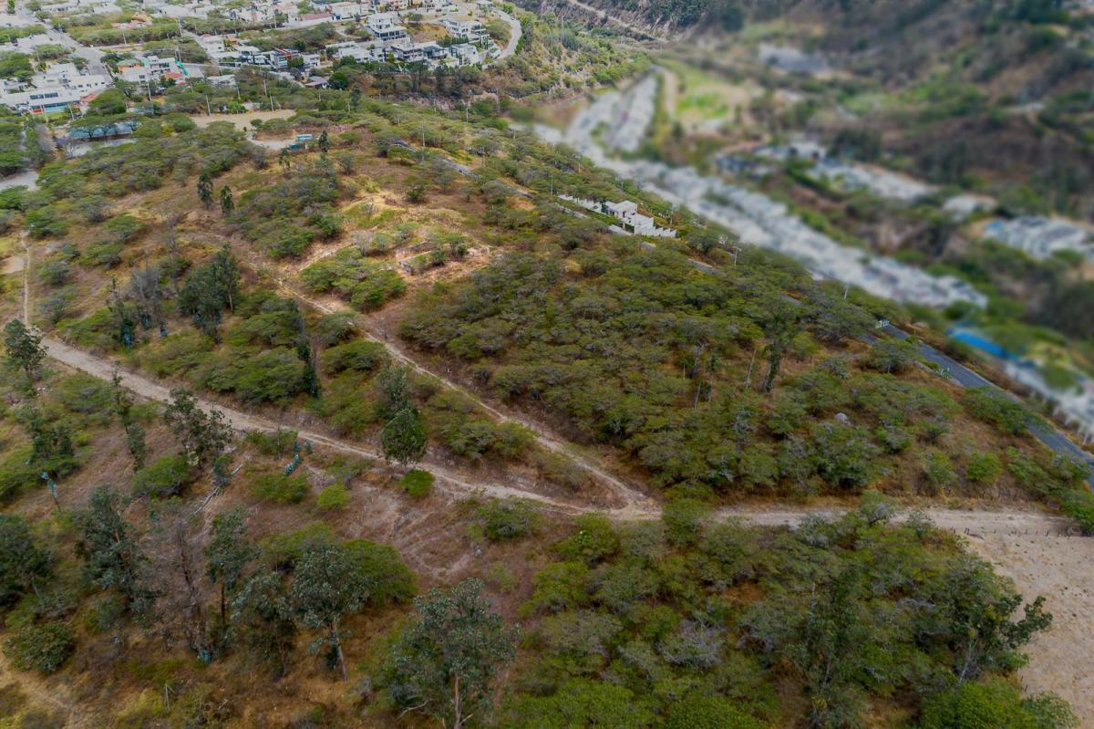 Nayon, Urbanizacion Monte Aromo, Inversión a Futuro, $139.000 — imagen 8