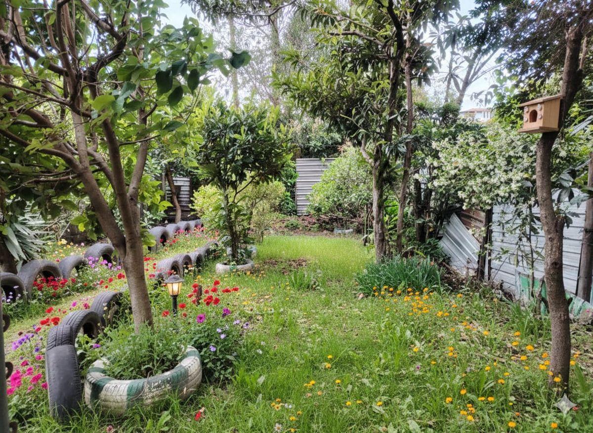 Casa en Venta en Conocoto con Suite Independiente y Amplio Terreno — imagen 5