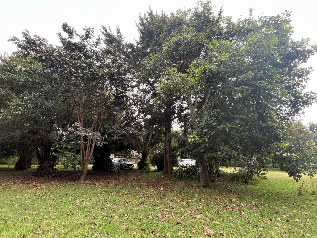 Venta Terreno 1 Hectárea Tumbaco – Alto Potencial Comercial E Inmobiliario — imagen 8