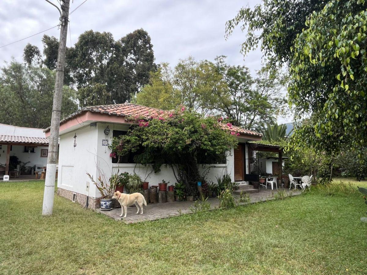 Venta Terreno 1 Hectárea Tumbaco – Alto Potencial Comercial E Inmobiliario — imagen 7