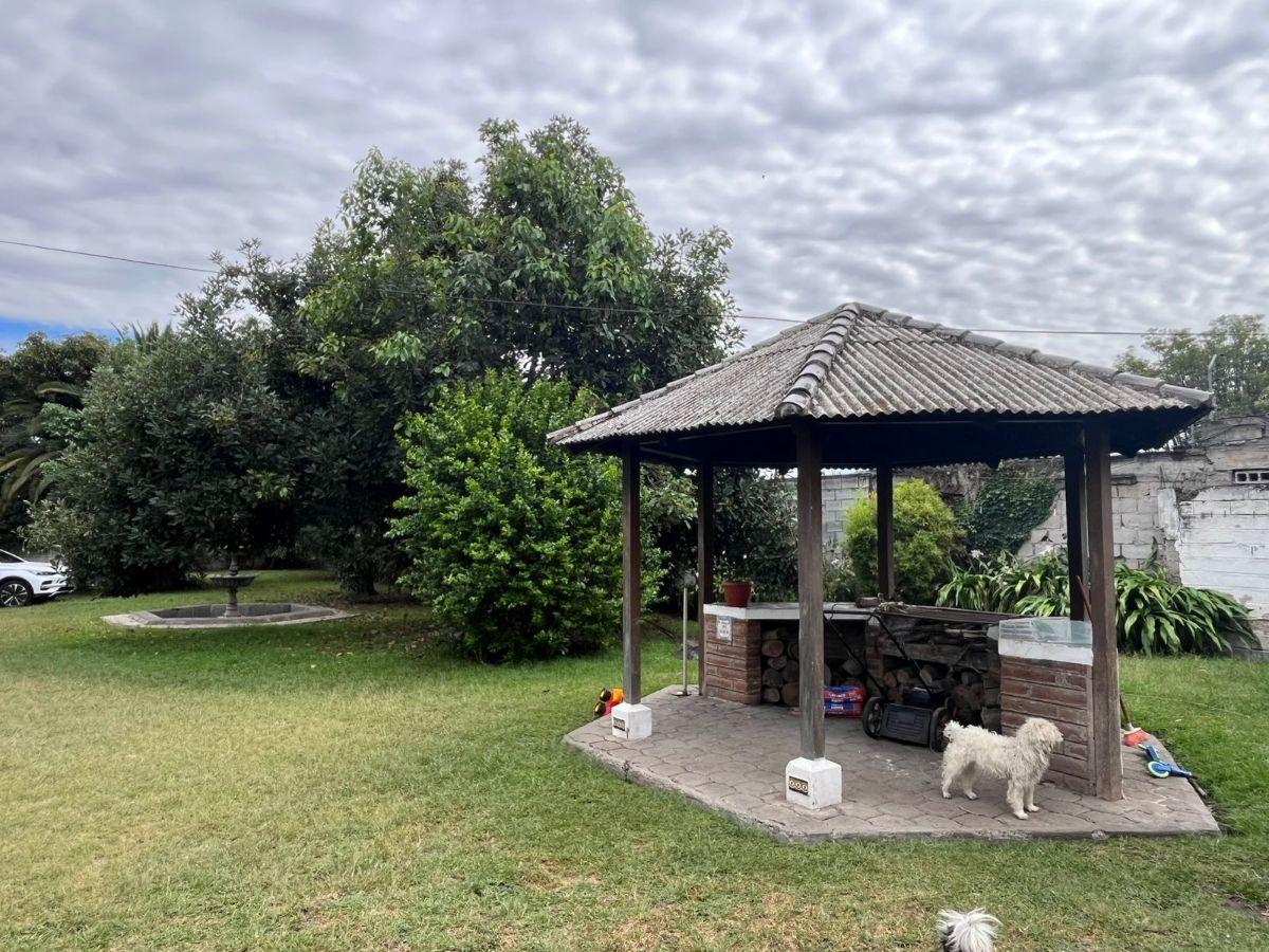 Venta Terreno 1 Hectárea Tumbaco – Alto Potencial Comercial E Inmobiliario — imagen 6
