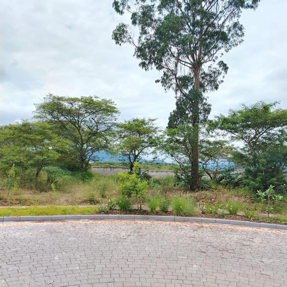 Venta en Tumbaco de Terreno Collaquí en Urbanización de Primera — imagen 7