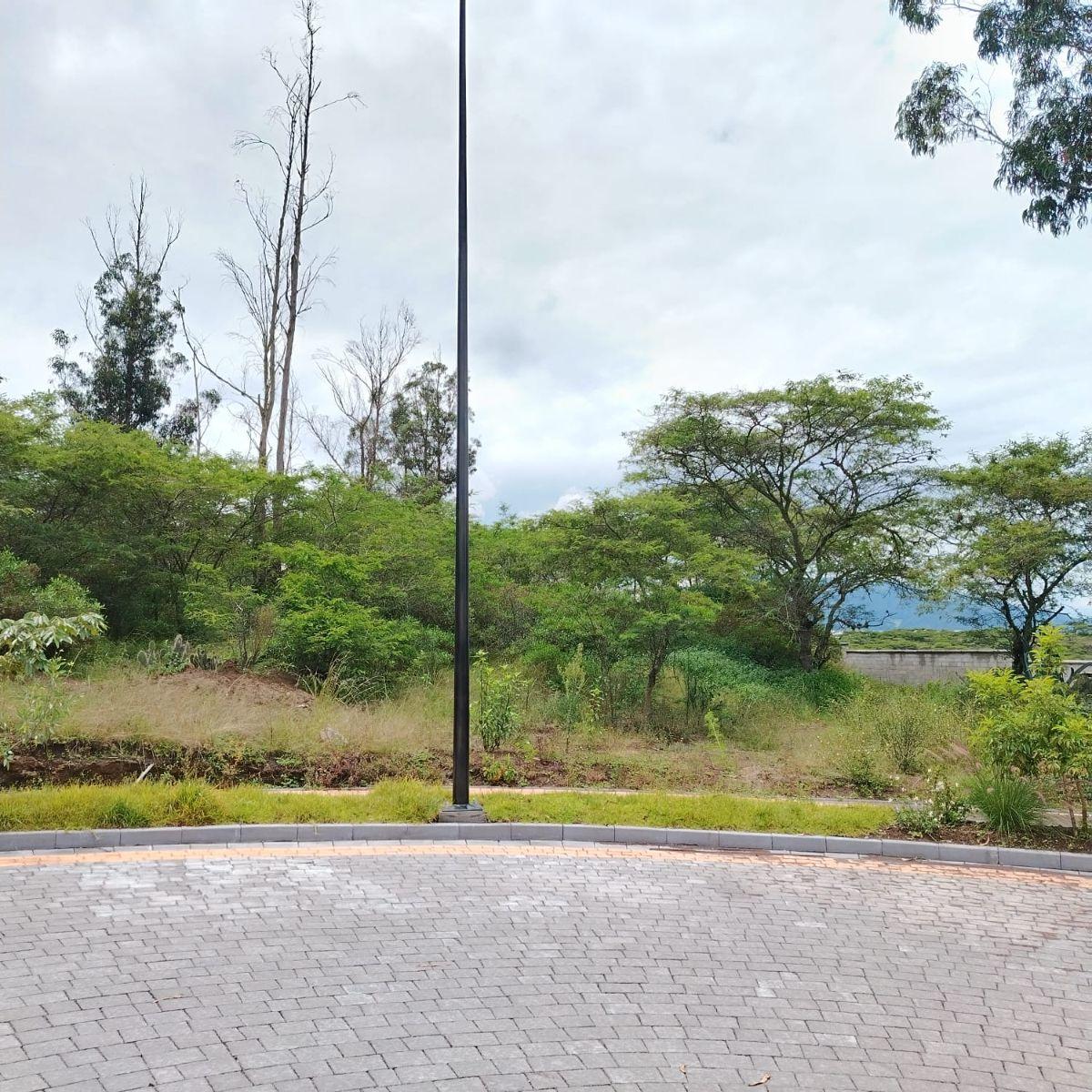 Venta en Tumbaco de Terreno Collaquí en Urbanización de Primera — imagen 6