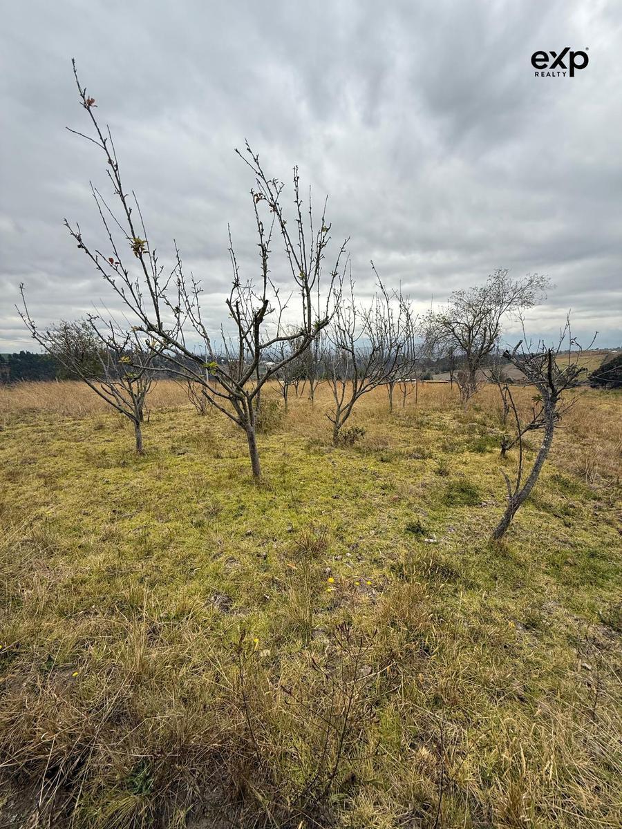 Terreno en Venta en Cusubamba de 2.2 Hectarea, Cotopaxi — imagen 7