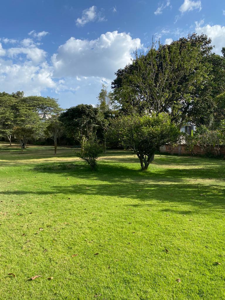 Propiedad en Aurelio Davila Cerca de Hilacril Para Proyecto Inmobiliario — imagen 10