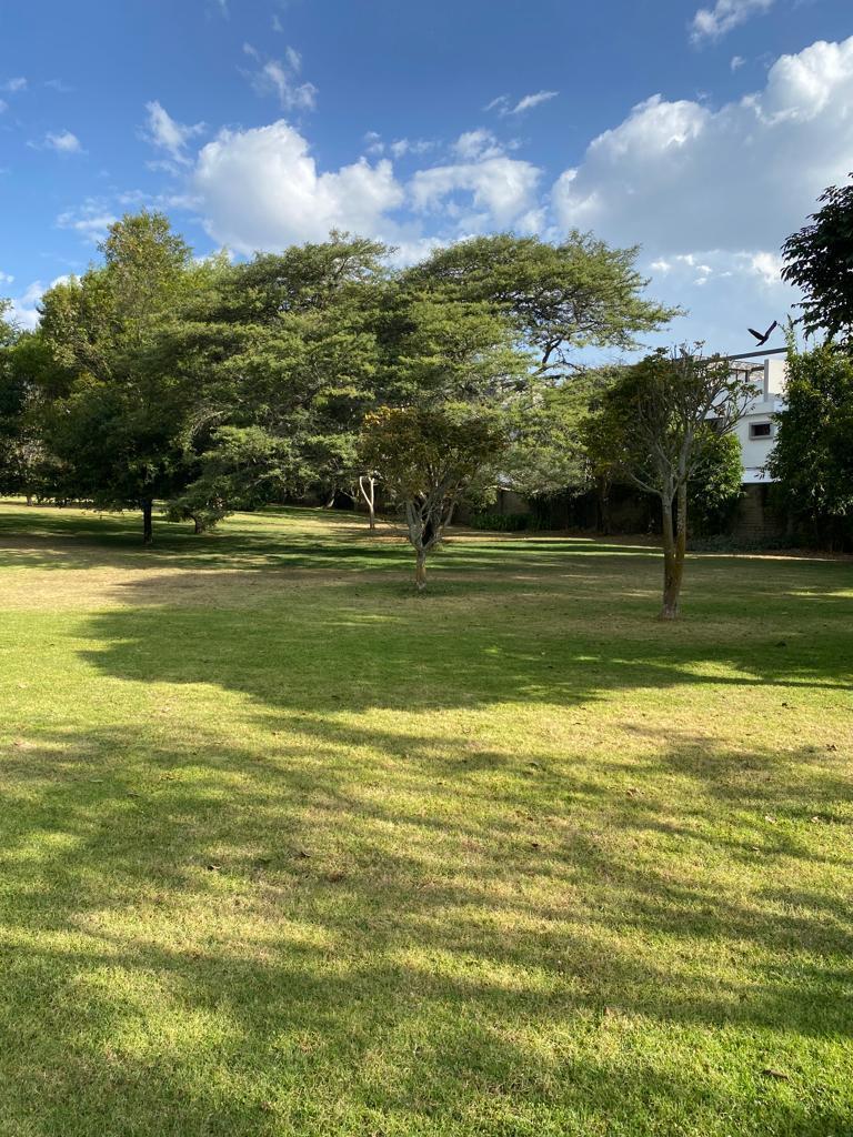 Propiedad en Aurelio Davila Cerca de Hilacril Para Proyecto Inmobiliario — imagen 8