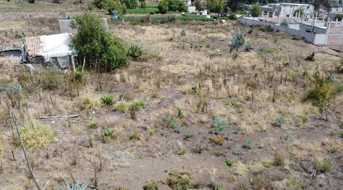 Terreno en Oportunidad Pishilata Ambato, Tungurahua — imagen 10