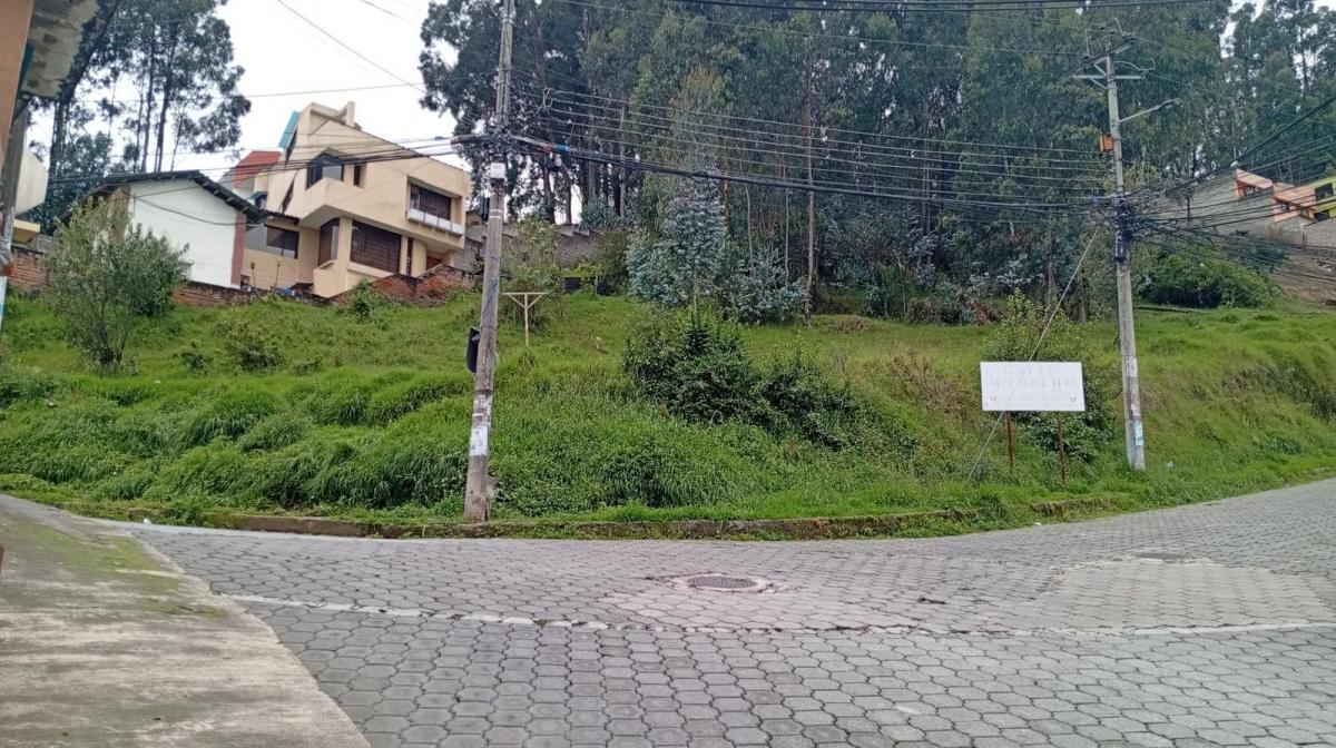 Terreno en Venta — imagen 6