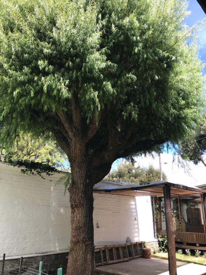 Vendo Linda Casa - El Bosque — imagen 7