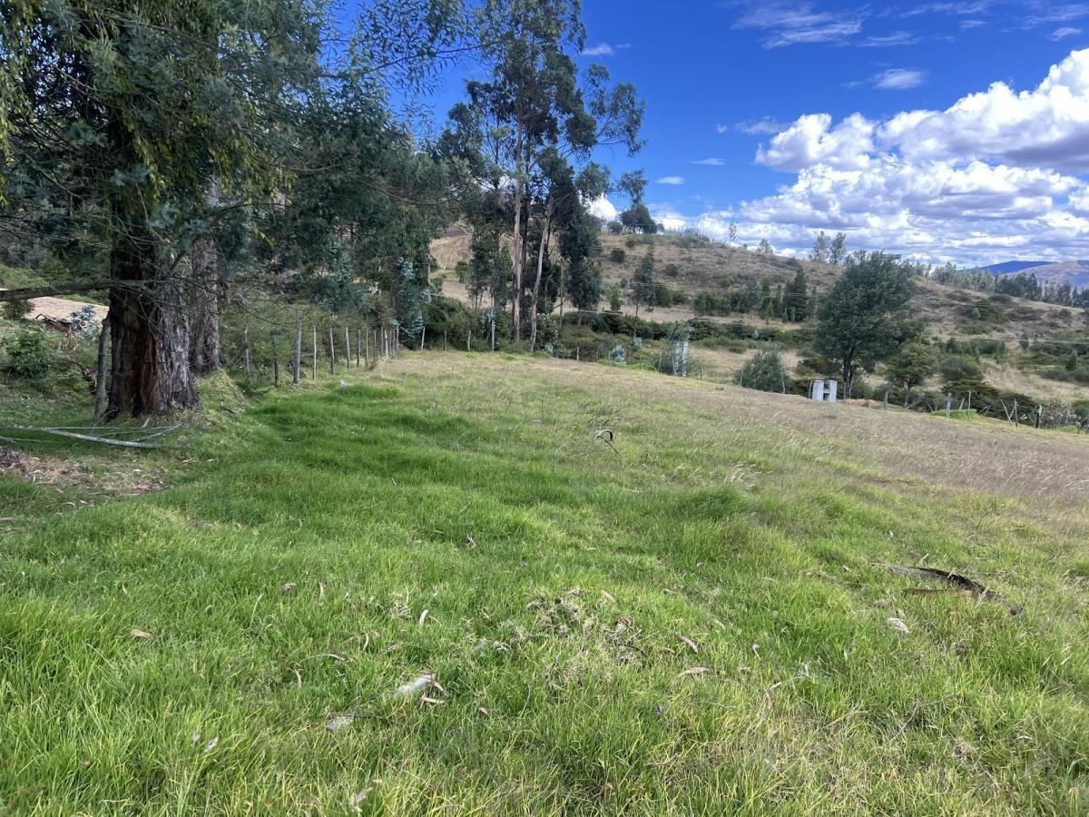 Oyambarillo - Terreno de Venta Via Pifo — imagen 5