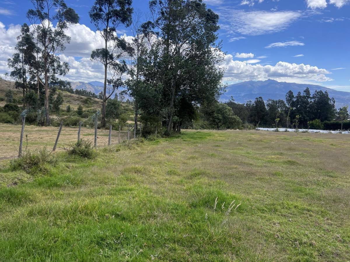 Oyambarillo - Terreno de Venta Via Pifo — imagen 4