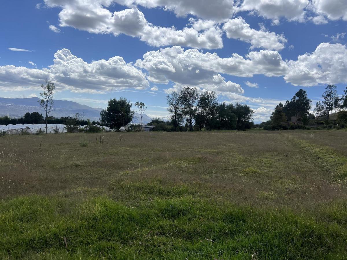 Oyambarillo - Terreno de Venta Via Pifo — imagen 3