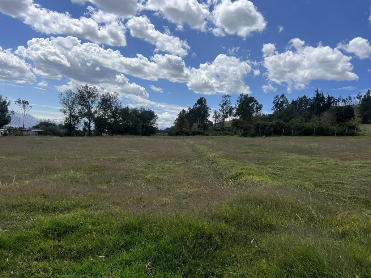 Oyambarillo - Terreno de Venta Via Pifo — imagen 2