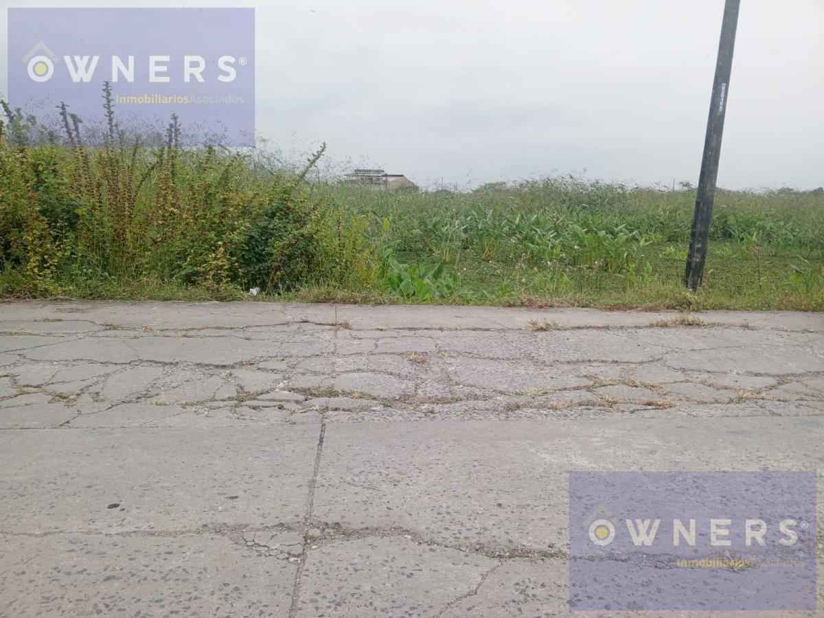 Venta Terreno Industrial 9000 m² Via Duran Tambo (Age), Guayas — imagen 8
