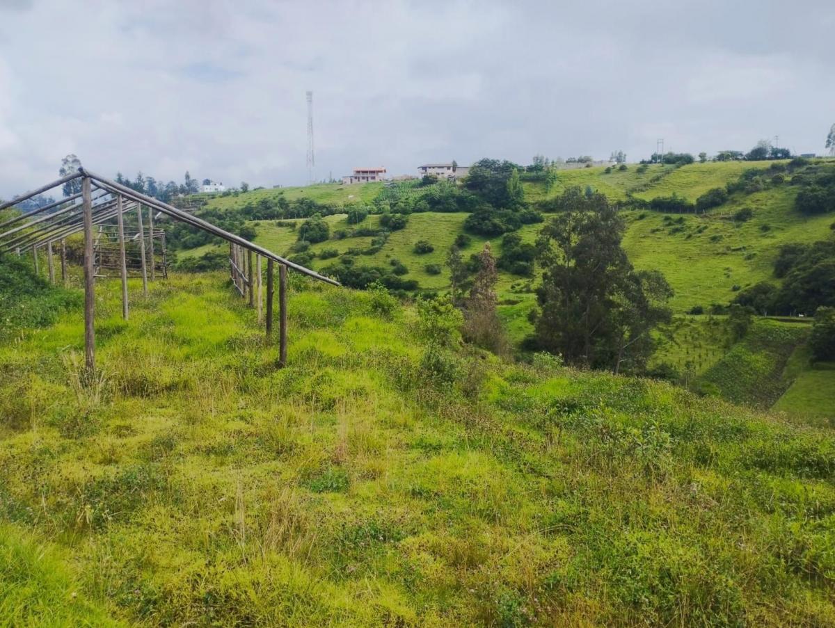 Terreno en Venta, Pintag 65,648.75 m² — imagen 10