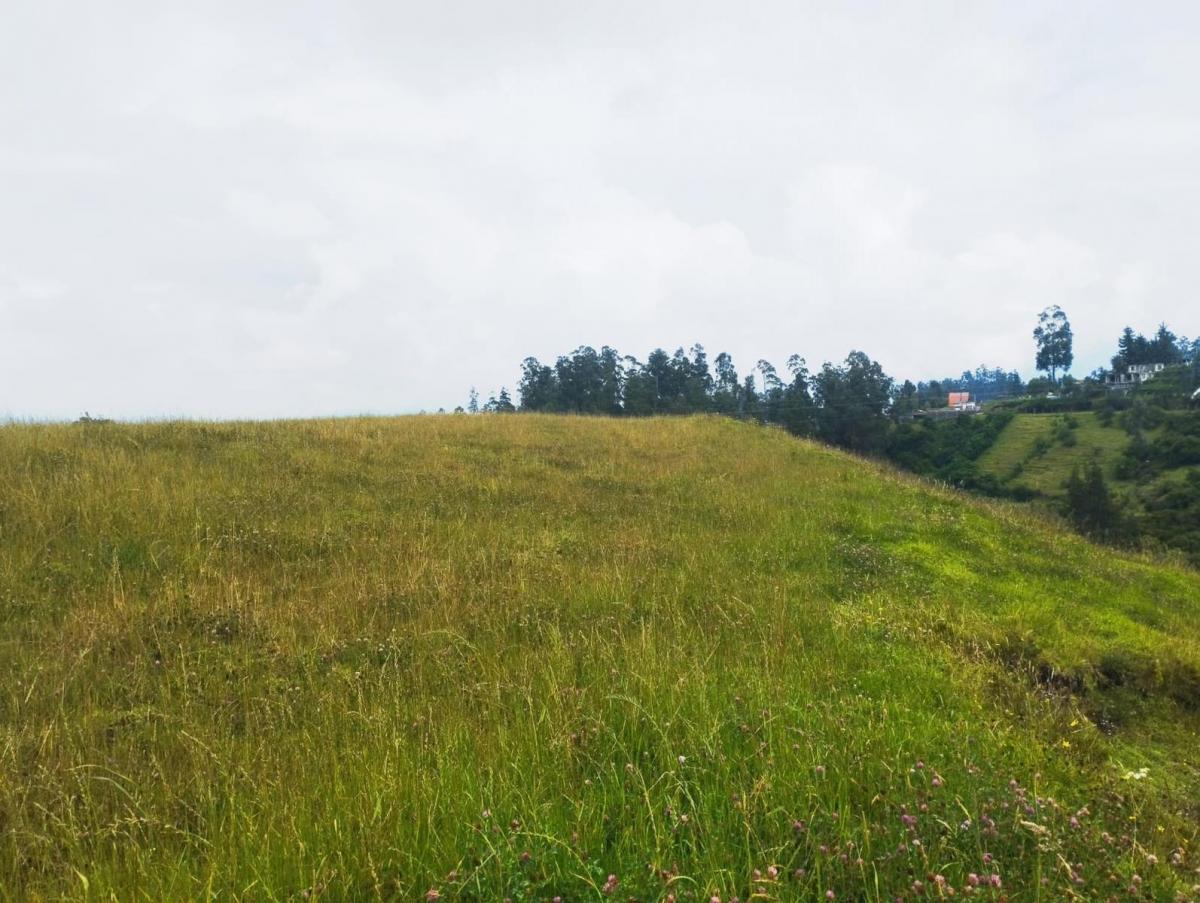 Terreno en Venta, Pintag 65,648.75 m² — imagen 9