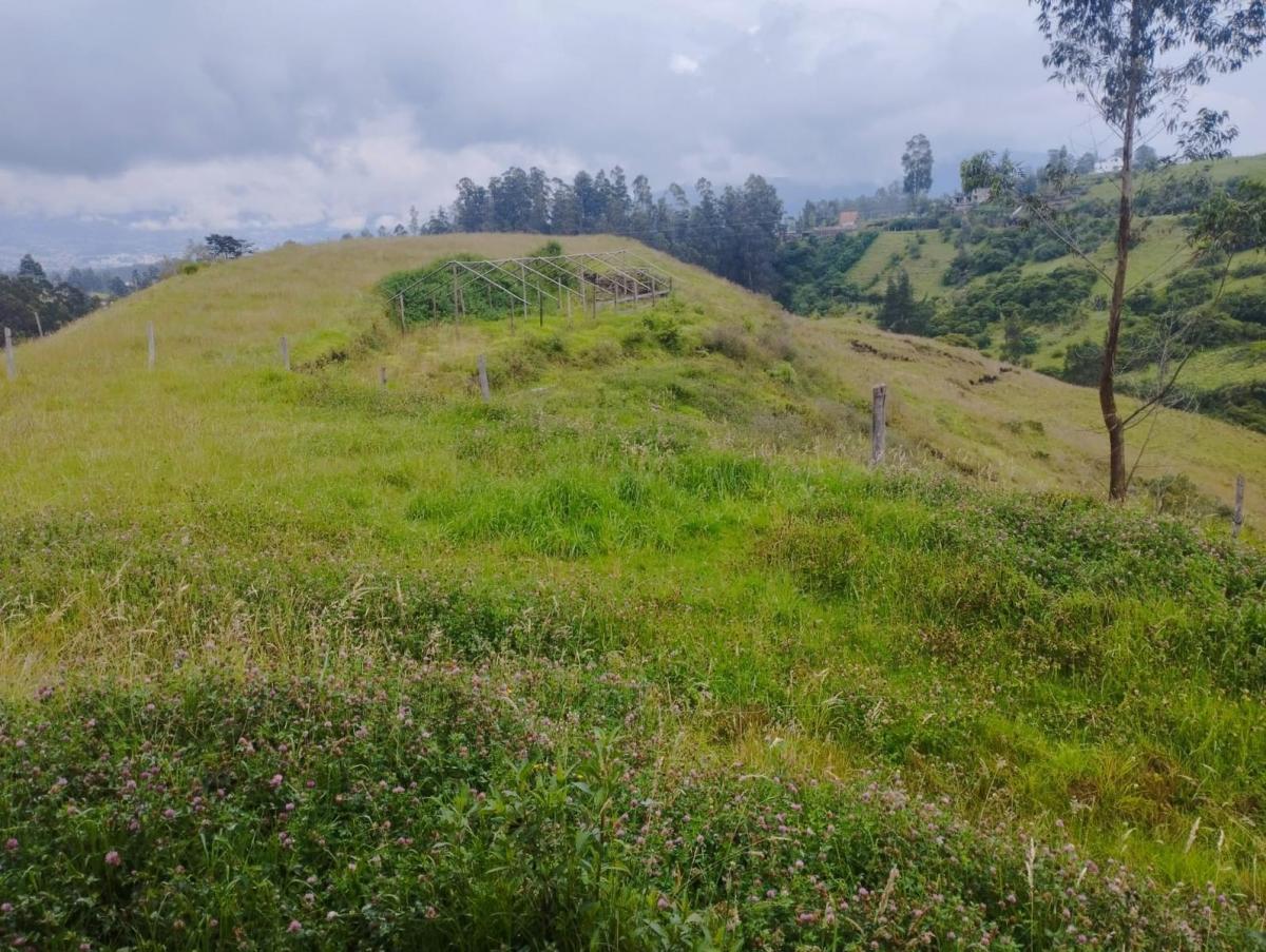 Terreno en Venta, Pintag 65,648.75 m² — imagen 8