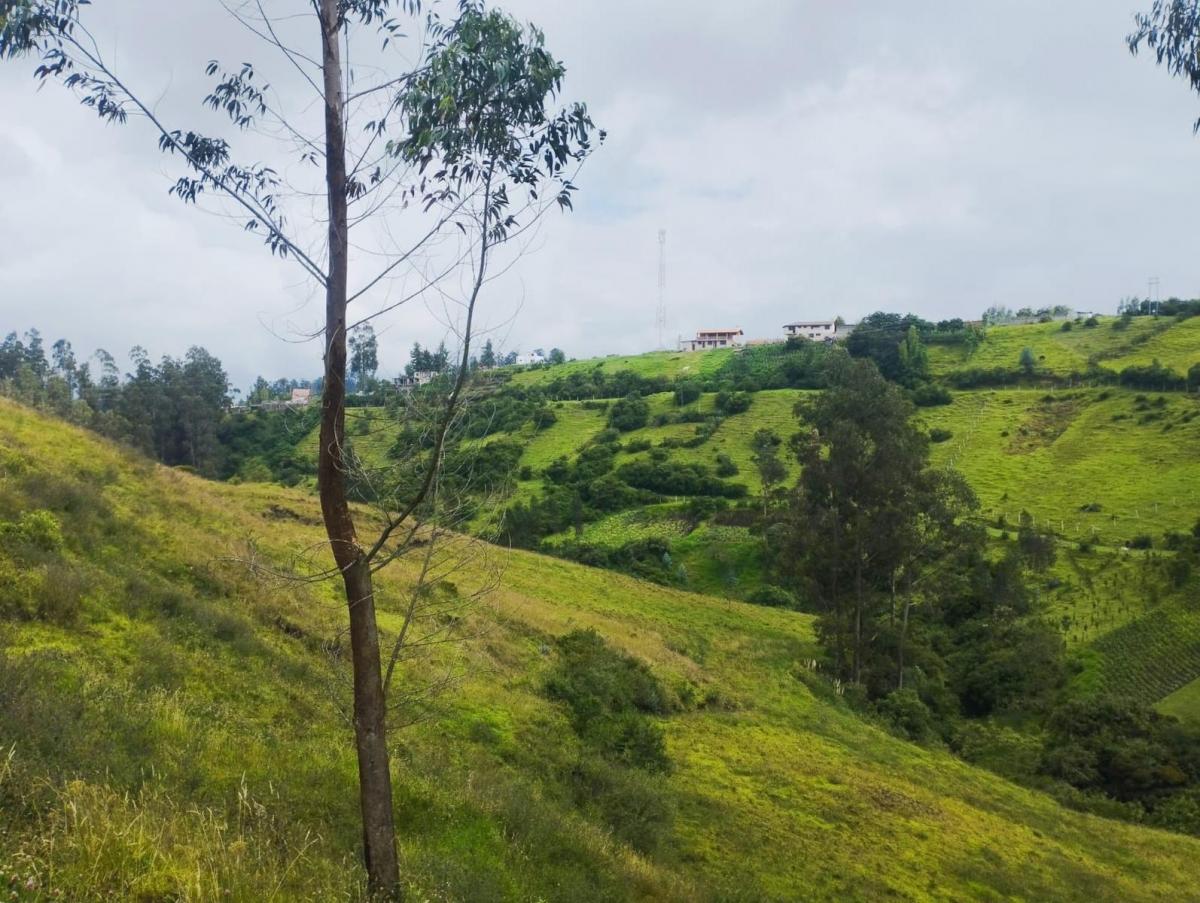 Terreno en Venta, Pintag 65,648.75 m² — imagen 7