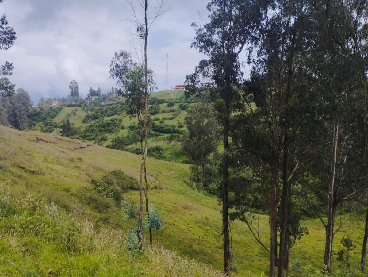 Terreno en Venta, Pintag 65,648.75 m² — imagen 6