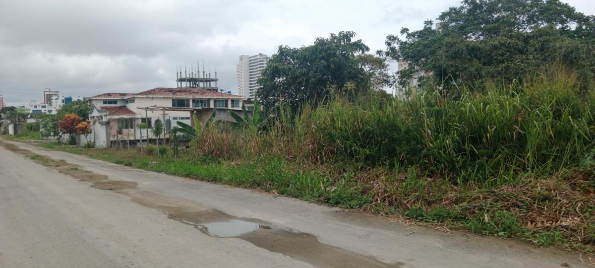 Venta - Terreno - Tonsupa - Club del Pacifico - Esmeraldas — imagen 9