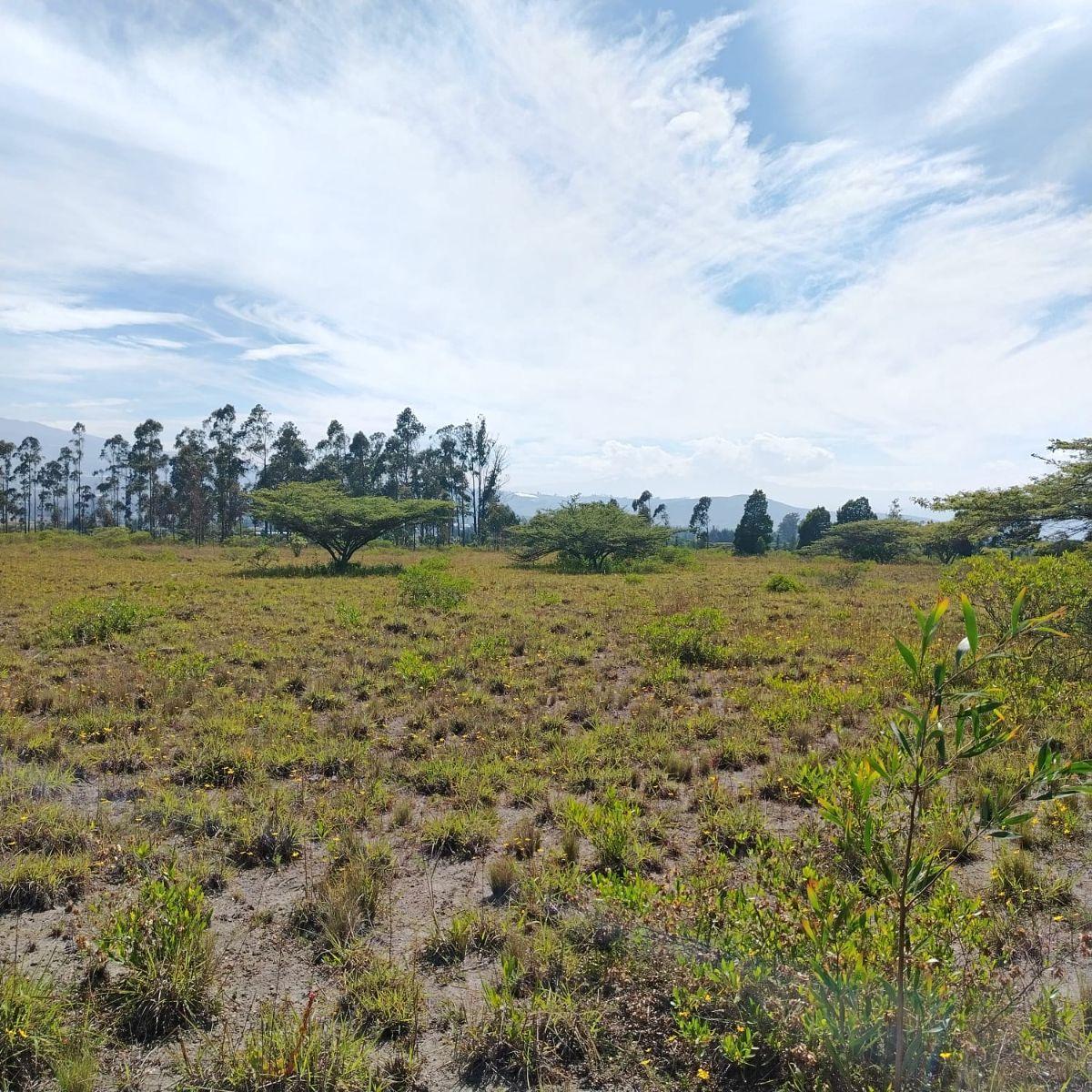 Venta de Hermoso Terreno en Malchingui de 51493 m² Plano — imagen 9