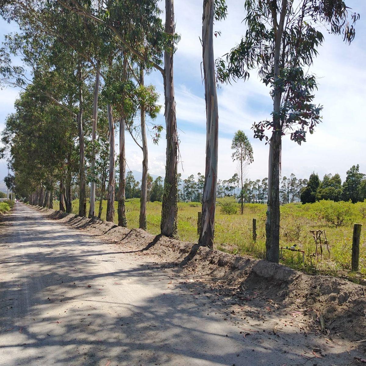 Venta de Hermoso Terreno en Malchingui de 51493 m² Plano — imagen 8