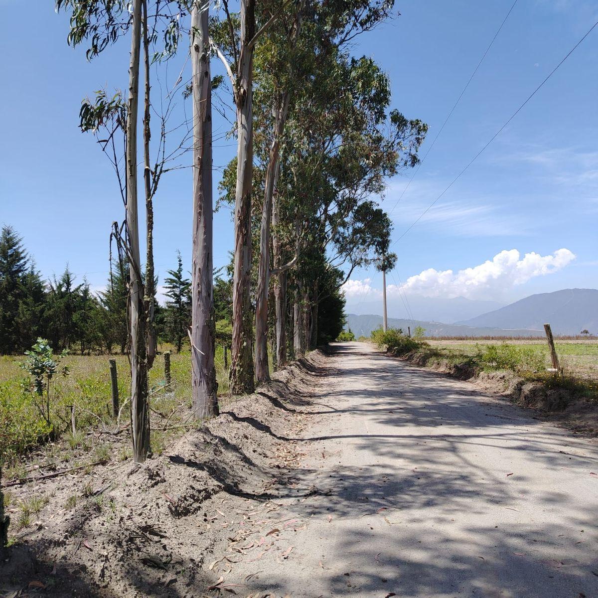 Venta de Hermoso Terreno en Malchingui de 51493 m² Plano — imagen 7
