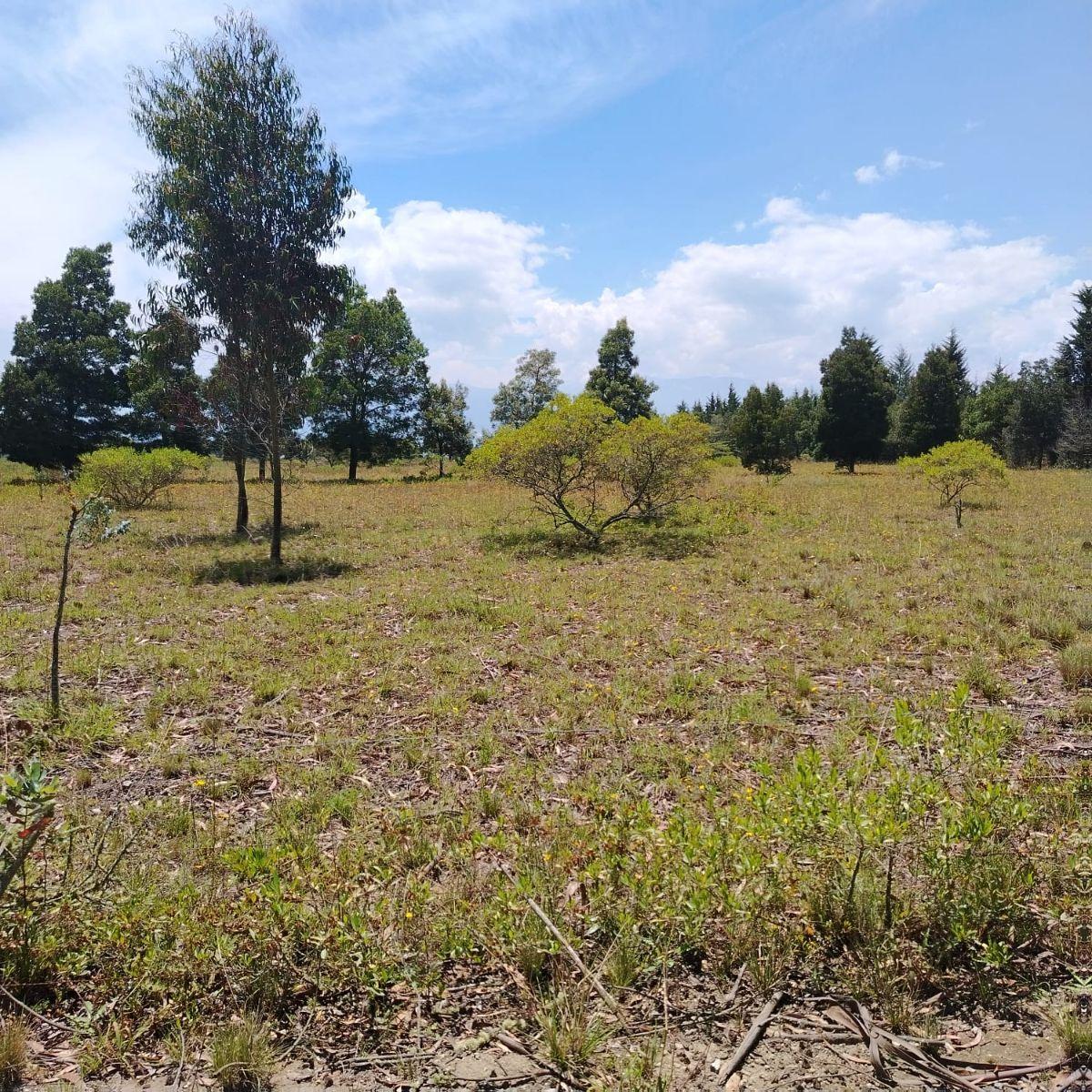 Venta de Hermoso Terreno en Malchingui de 51493 m² Plano — imagen 6