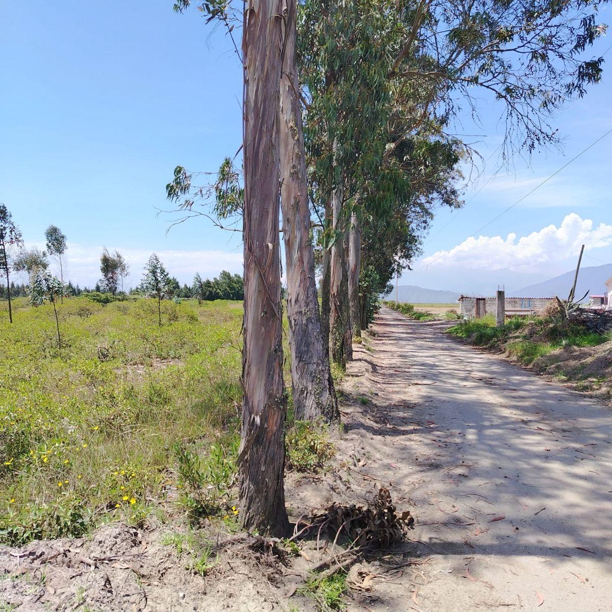 Venta de Hermoso Terreno en Malchingui de 51493 m² Plano — imagen 2