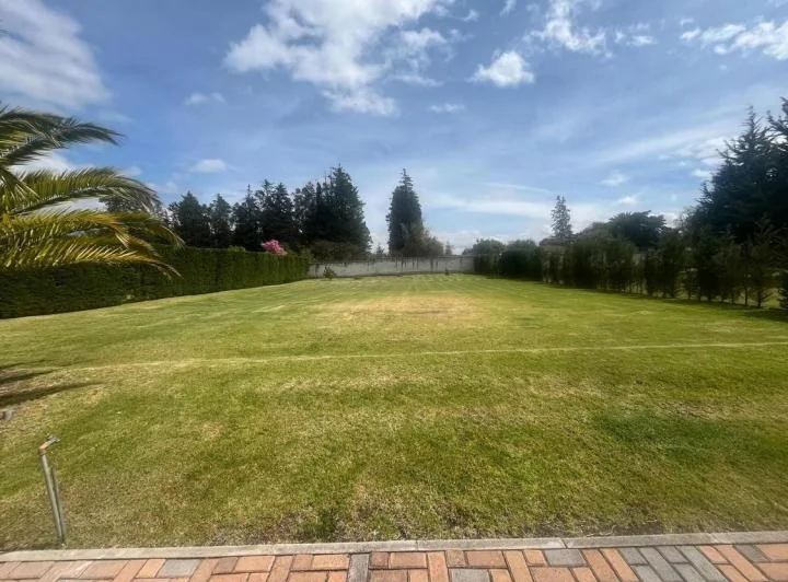 Terreno de 1243 m² en Venta en Puembo, Zona Colegio Americano — imagen 1