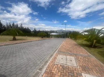Terreno de 1243 m² en Venta en Puembo, Zona Colegio Americano — imagen 4