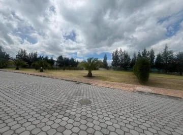 Terreno de 1243 m² en Venta en Puembo, Zona Colegio Americano — imagen 3