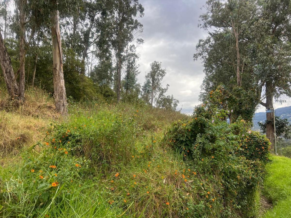 Venta Terreno Tumbaco Via Intervalles — imagen 2