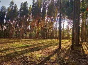 Venta Terreno en Lasso. Inf. Cbr Carla del Pino, Cotopaxi — imagen 5