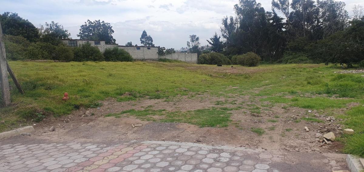 Terreno en La Tola Ideal Para Proyecto — imagen 7