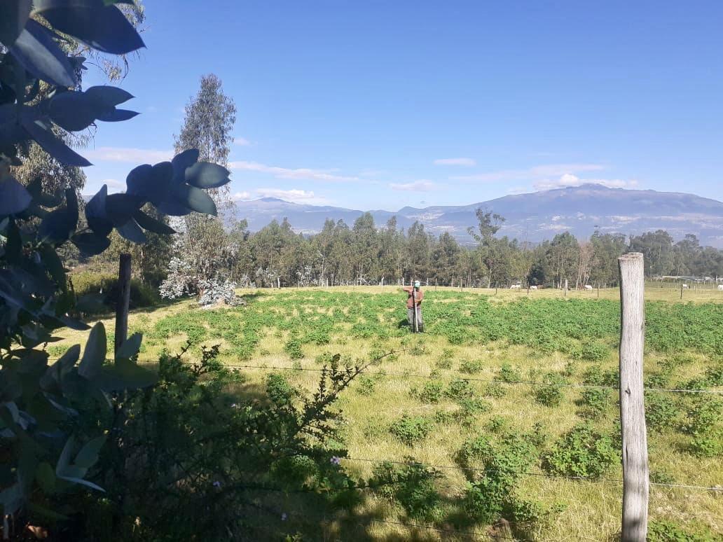 Terreno en La Tola Ideal Para Proyecto — imagen 4