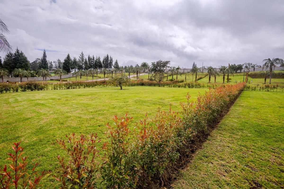Terreno en Puembo Alto de Venta — imagen 8