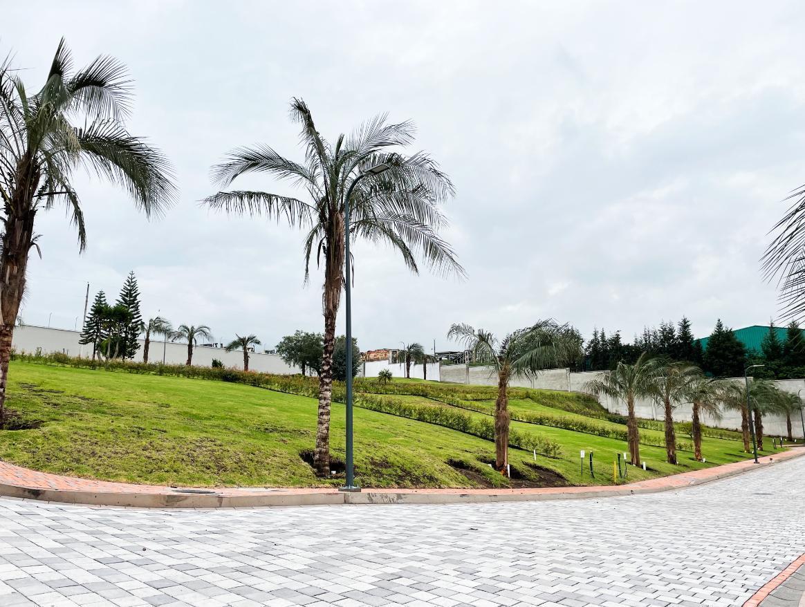 Terreno en Puembo Alto de Venta — imagen 2