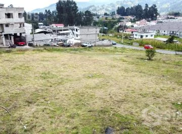 Venta de Terreno Sector La Armenia — imagen 4