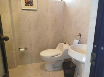Se Vende Amplia Oficina Ubicada en El Centro Norte de Quito. Provincia de Pichincha — imagen 5