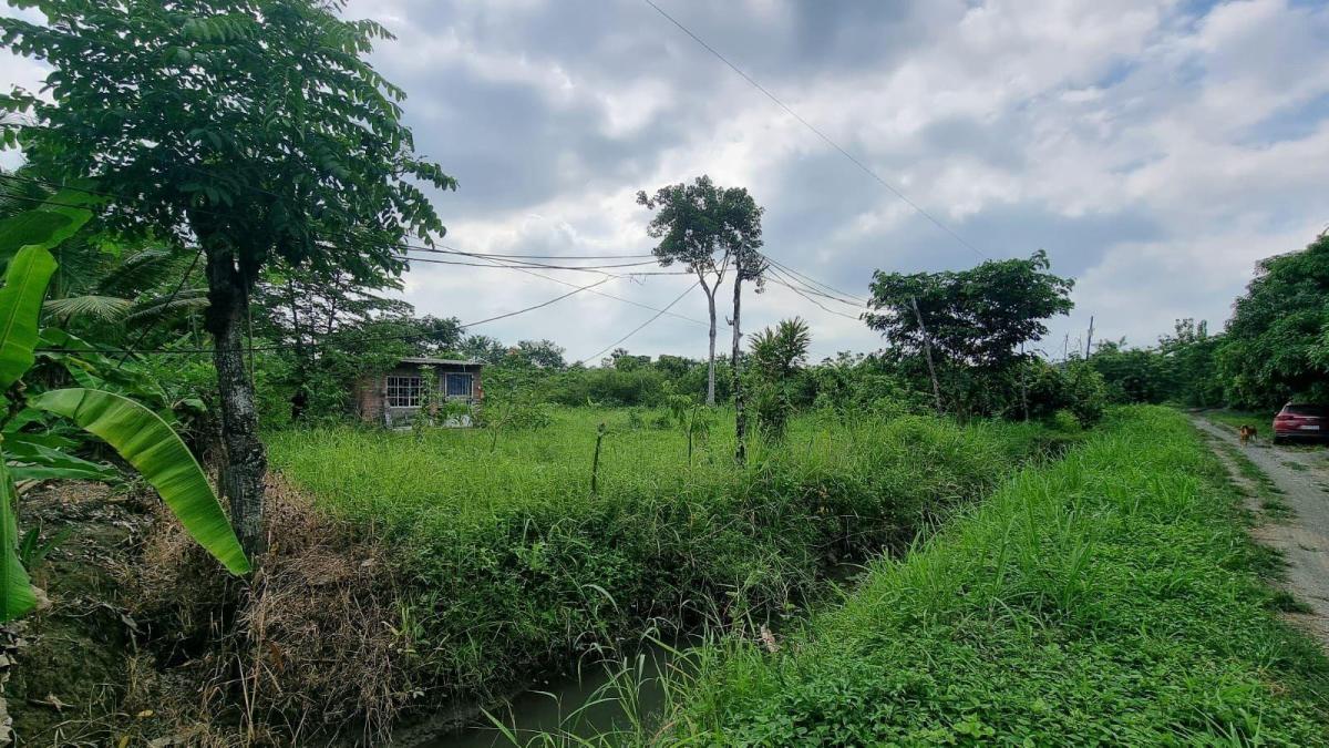Vendo Terreno Agrícola en Milagro Vía a Naranjito, Ings. Guayas — imagen 9