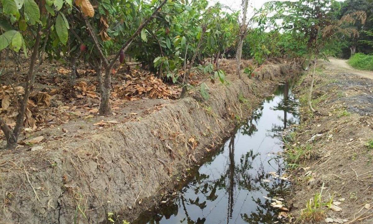 Vendo Terreno Agrícola en Milagro Vía a Naranjito, Ings. Guayas — imagen 8